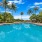  A large swimming pool surrounded by palm trees.