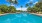  A large swimming pool surrounded by palm trees.
