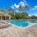  A swimming pool surrounded by palm trees.